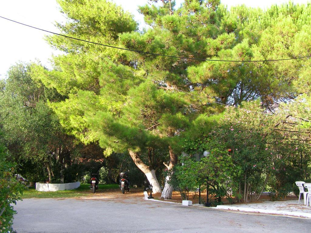 ספרטיה Polymnia Apartments מראה חיצוני תמונה
