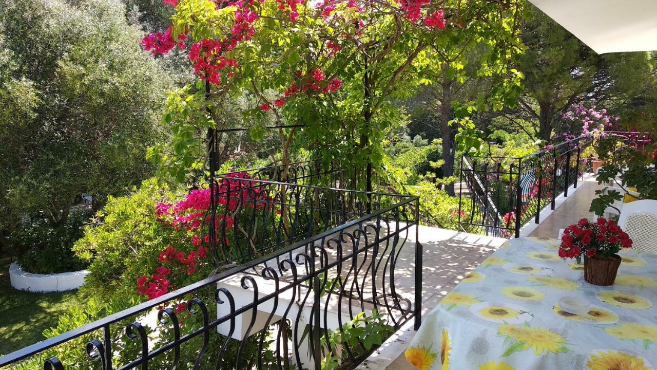ספרטיה Polymnia Apartments מראה חיצוני תמונה
